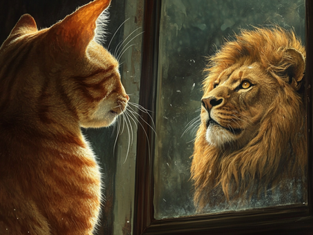 Is the Dunning-Kruger effect real? 