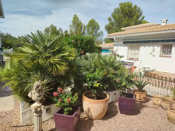 unser Garten