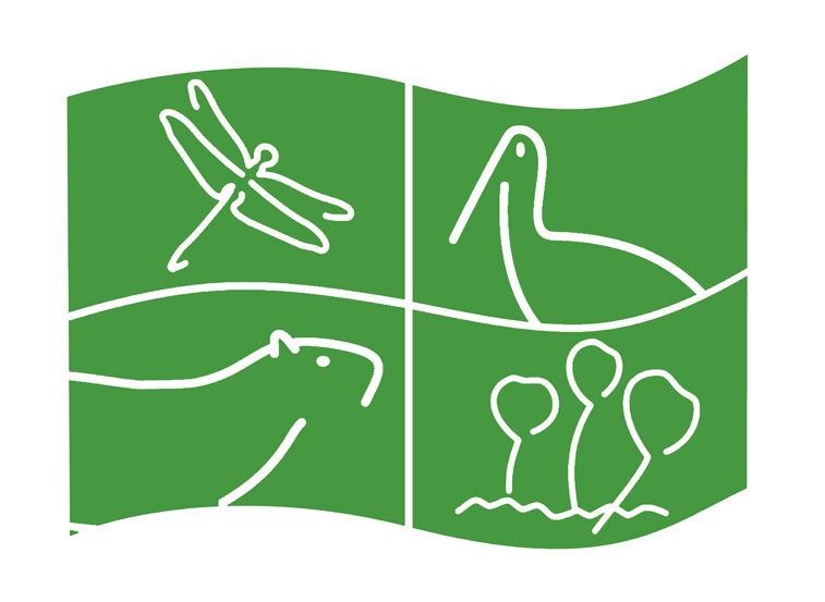 Logo eco