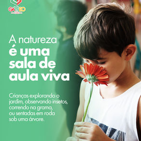 A natureza como sala de aula: quando aprender acontece ao ar livre