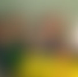 O Poder da Infância: Por que a Criança é a Protagonista do Próprio Aprendizado na Galileo Kids