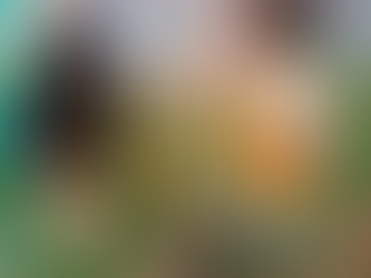 A criança aprende com o corpo inteiro