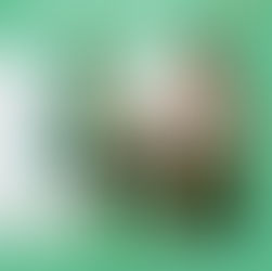 A importância de celebrar as pequenas conquistas na infância