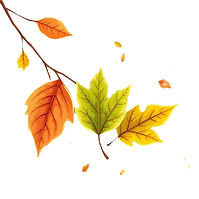 3 fall leaves transparent background_ed