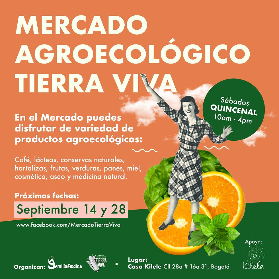 Bienestar: Mercado Tierra Viva en Casa Kilele