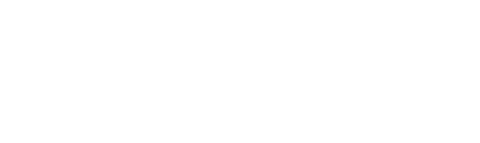 Silicon Group