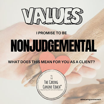 Image of nonjudgemental values