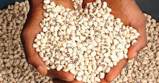 whaite beans