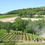 Miniaturbild: RE DI RENIERI IGT Toscana 2019, 75cl