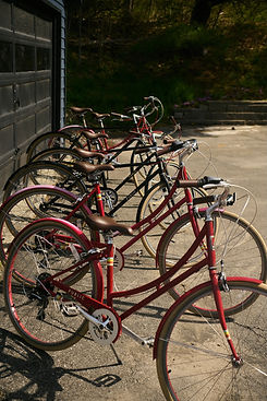 bikes.jpeg