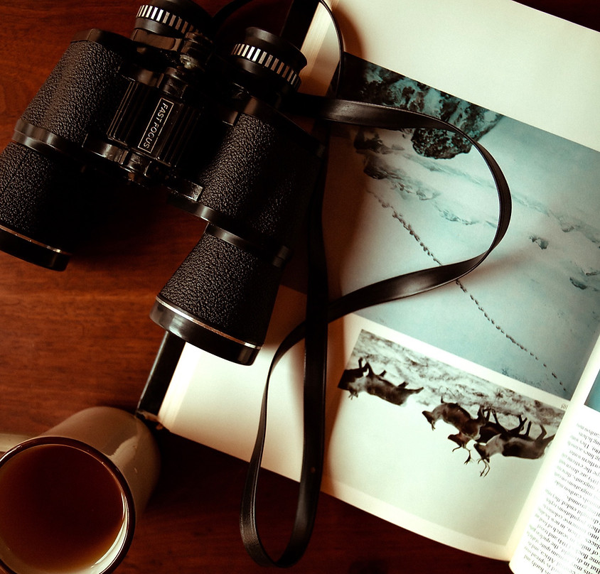 Eastwind Oliverea Valley — 3