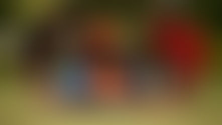 Expanding Horizons: Literacy Projects in the Philippines