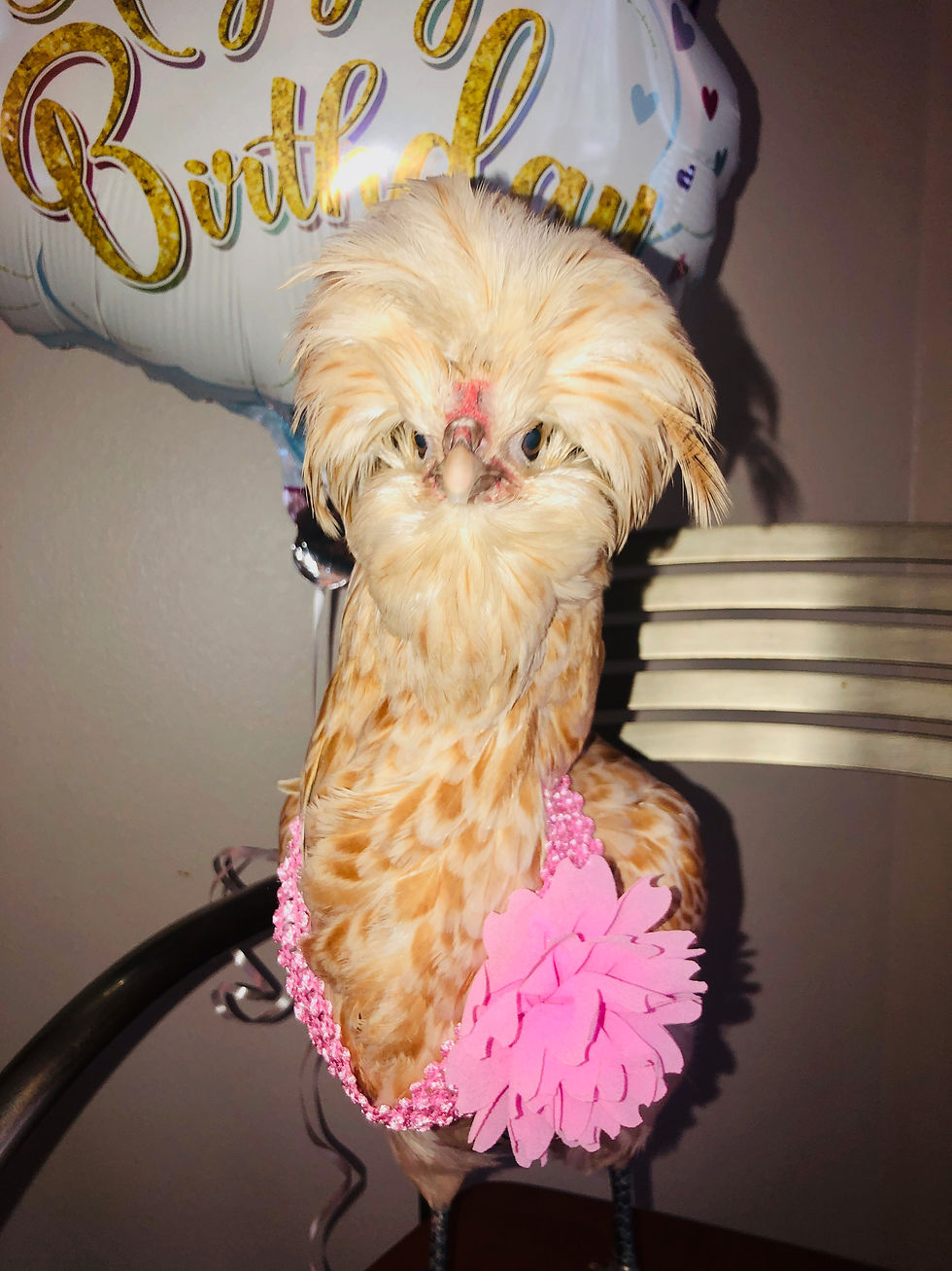 New Years ResolutioHENS