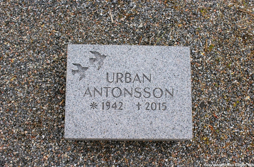 Gravsten E21 i Misterhultsgranit