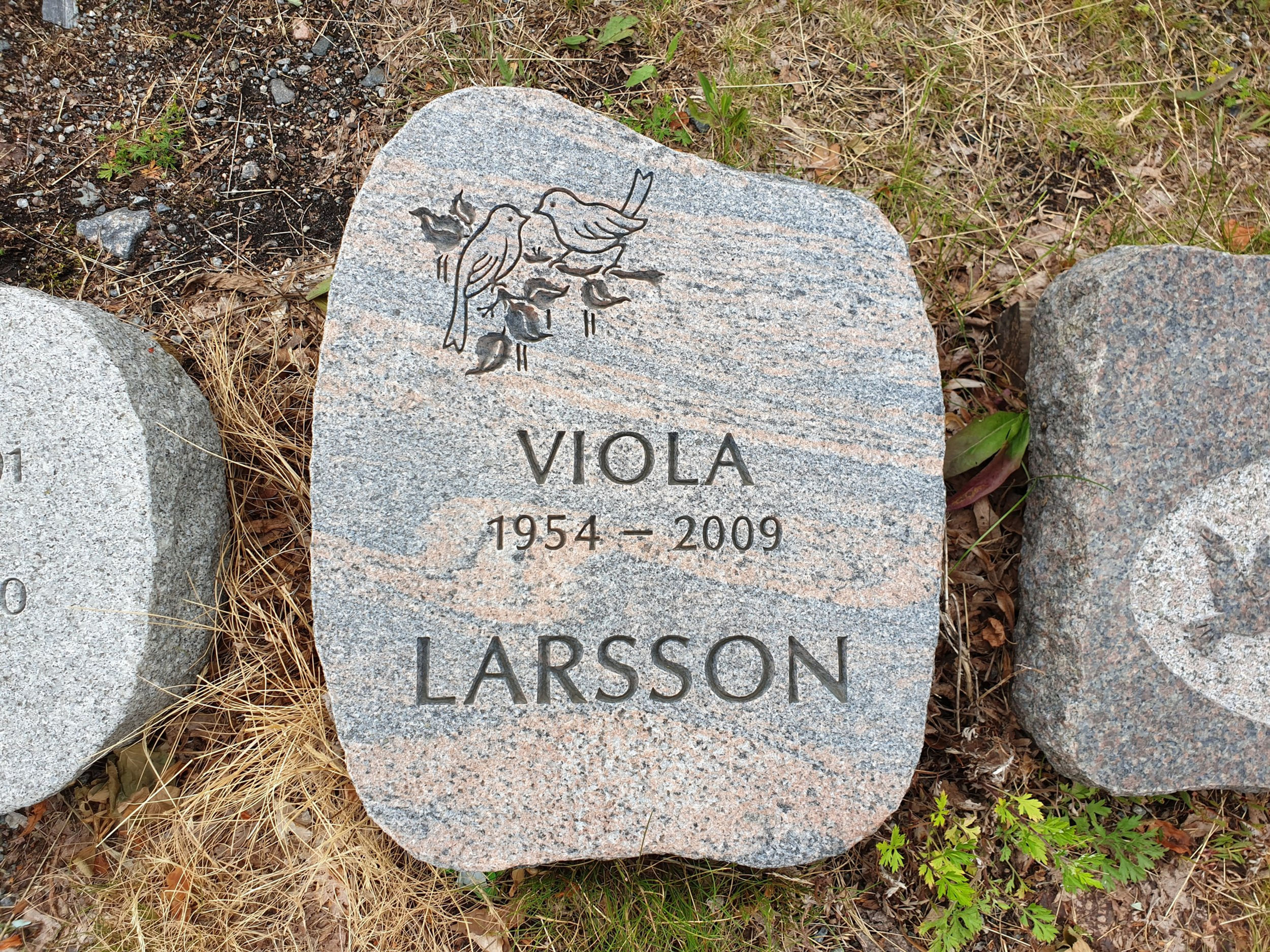 Gravsten 920 i rödflammig svensk gnejs