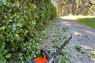 Häckklippning med häcksax i inne på trädgård i norrort