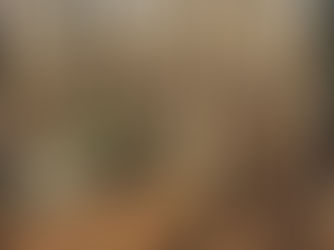 Hole 15 Blue Tee Area Improved