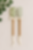 Styled set of spatulas with eucalyptus leaves on a neutral surface.