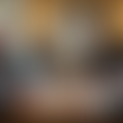 Join Toastmasters in Division B Today