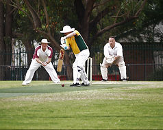 Cricket