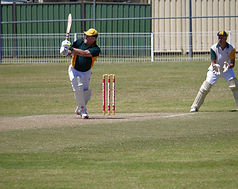 Cricket