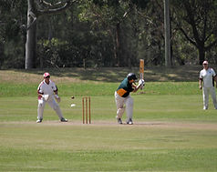 Cricket