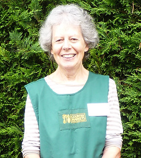 PHOTO Ann Tomlinson.JPG
