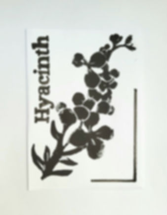 Hyacinth