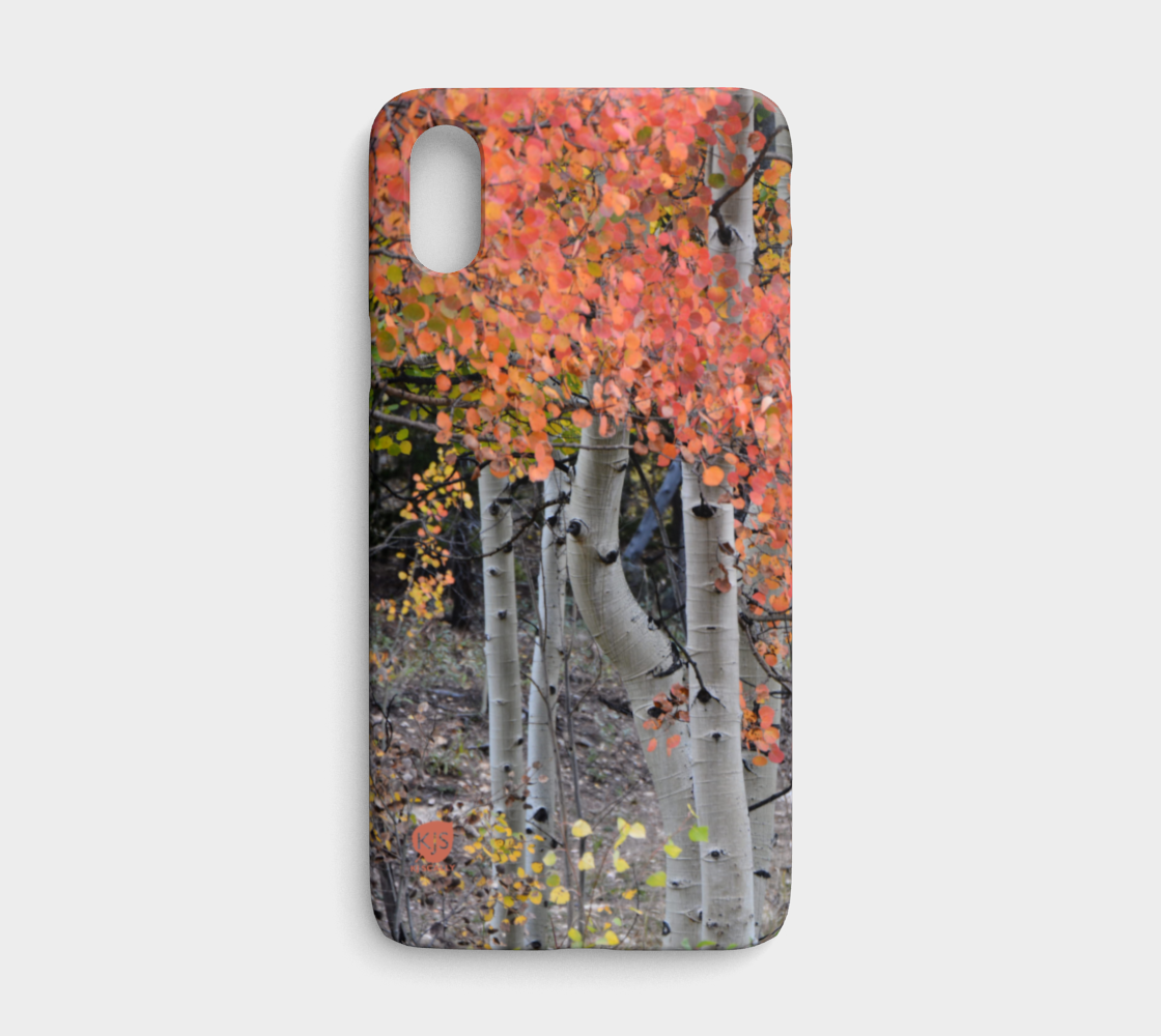 multi-colored-aspen-lexan-iphonex-ca