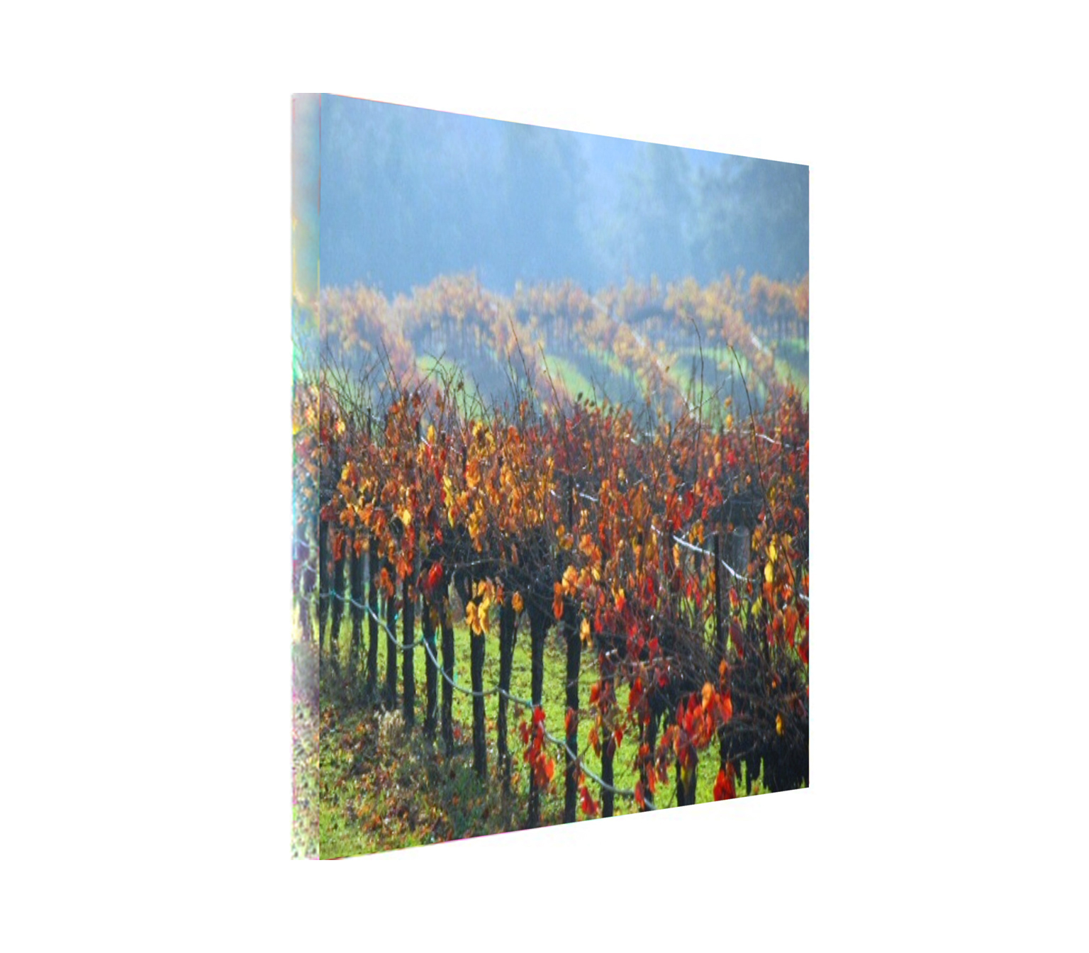 Misty Red Canvas Wrap