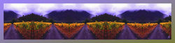 Autumn Road Scarf 72x18