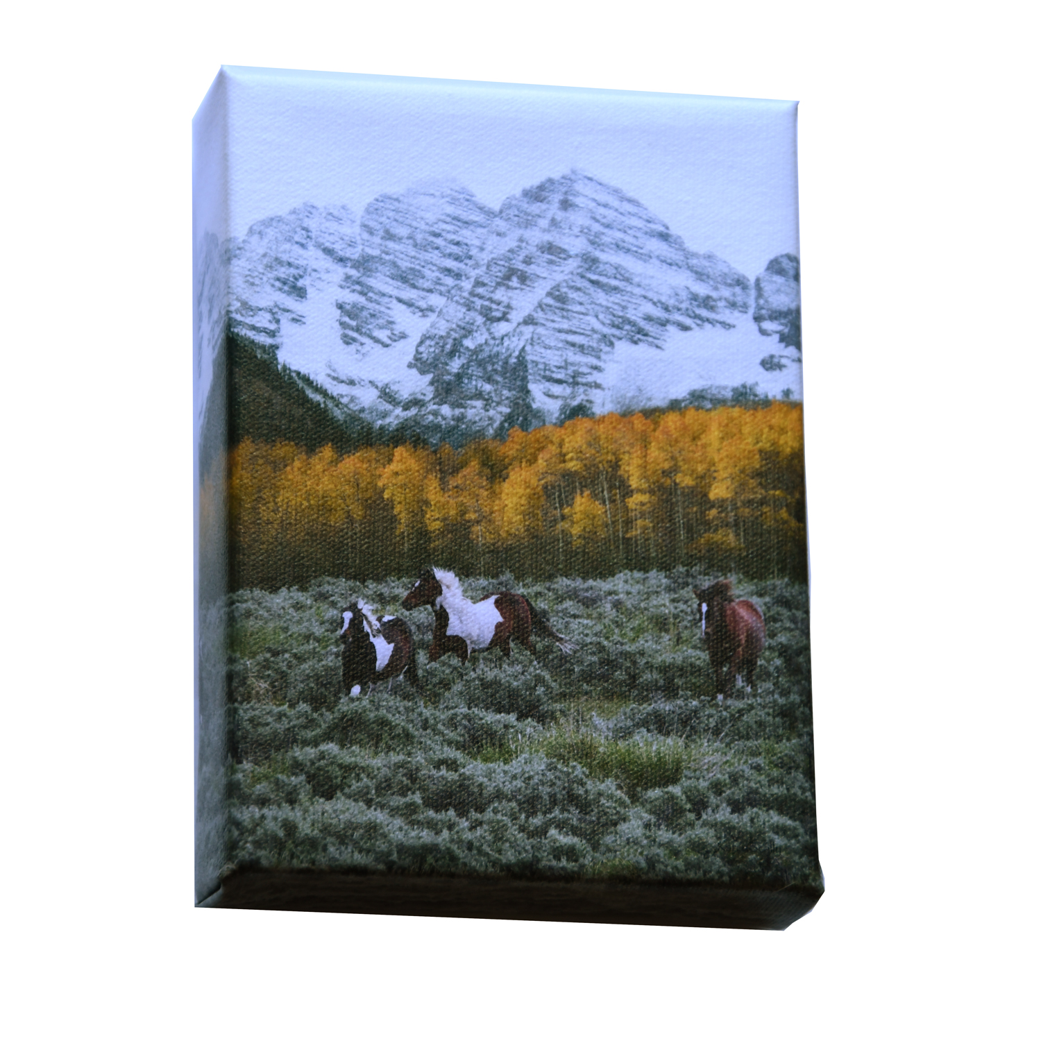 5x7 Maroon Bells Horses on Canvas