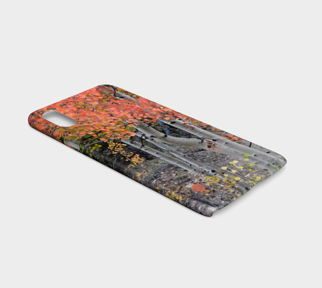 multi-colored-aspen-lexan-iphonex-ca