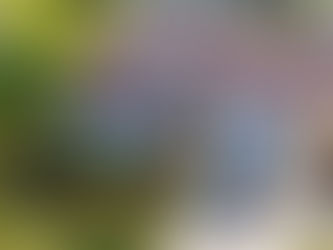 Değer Fiyat ve Gelir Karışmaya Başladı