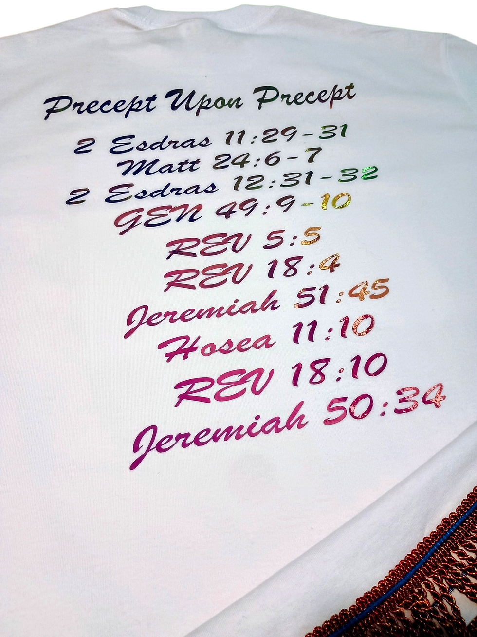 Thumbnail: Revelation 18:9-10 T-Shirt, Babylon Falls Prophecy Tee, Precept Upon Precept