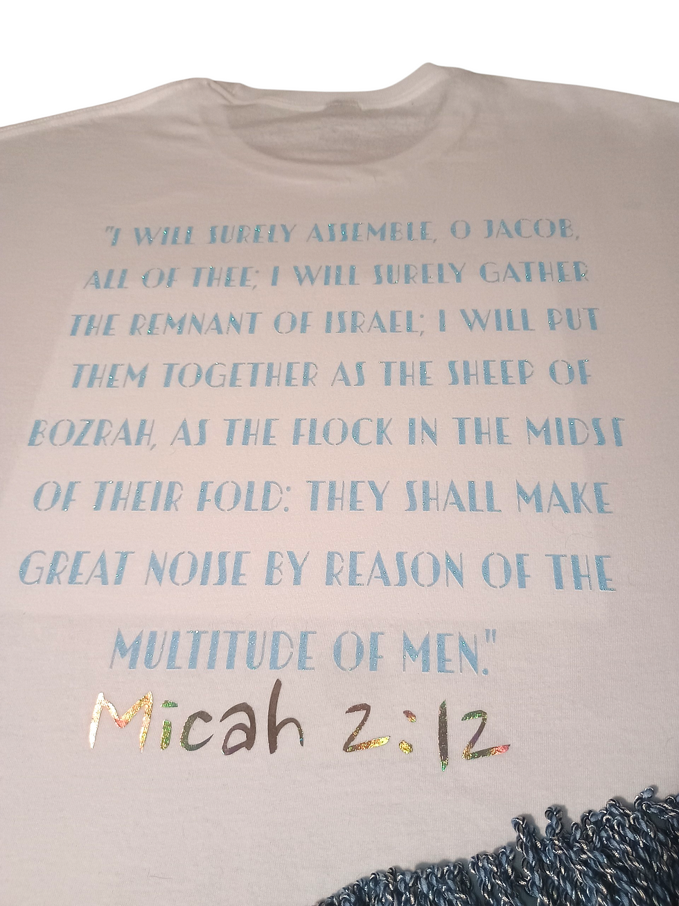 Thumbnail: Black Wool Sheep T-Shirt, Ezekiel 34:12-13 Scripture Tee, Lost Sheep of Israel