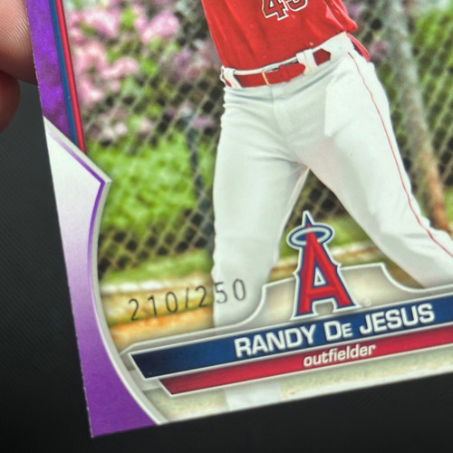 2023 Bowman - Chrome Prospects Purple Refractor #BCP-19 Randy De