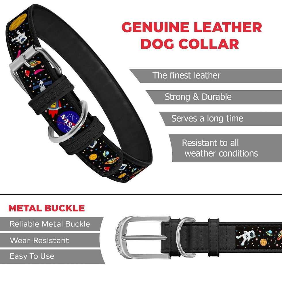 Miniature : Leather Dog Collar with NASA Design for XSmall Dogs 811 in Neck x 0.5 in Wide