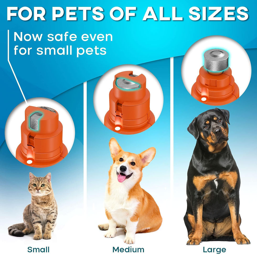 Miniature : Dog Nail Grinder with LED Light Rechargeable for Large Medium & Small Dogs