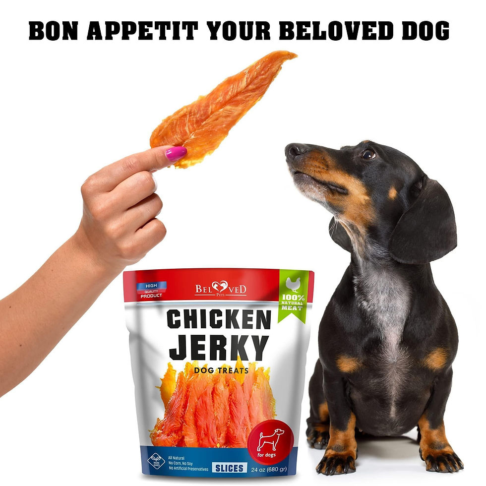 Miniature : Chicken Jerky Dog Treats 1.5 Lb Human Grade Pet Snacks Grain Free Organic Meat