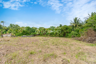 Terrain_1411m²_Le Lamentin_Elohimmo-3.jpg