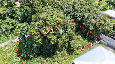 maison à vendre martinique | appartement à vendre martinique | terrain à vendre martinique | agence immobilière