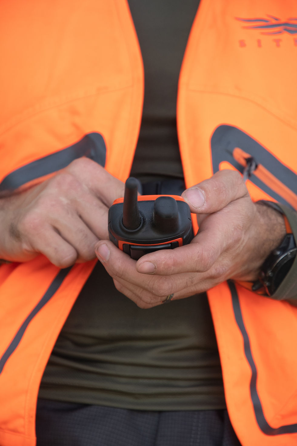 Chasse et sécurité
