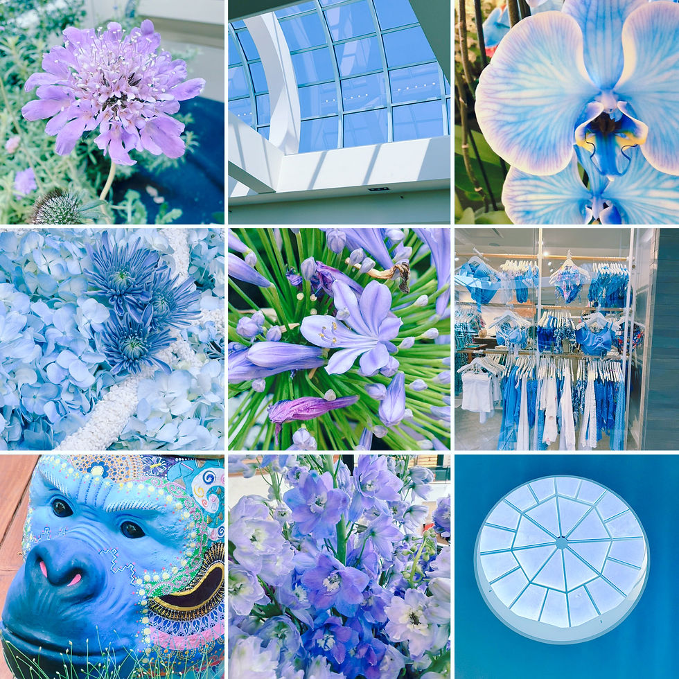 Color Hunt At Crystal Court's Exotic Plant Fair