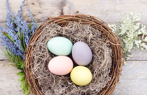 Colorful Eggs in Basket