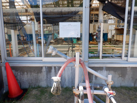 海水提供の一時休止に関するお知らせ