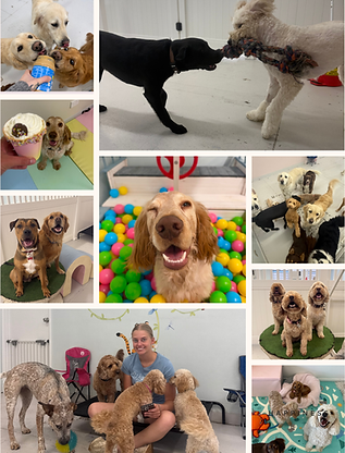 Come play with us.png