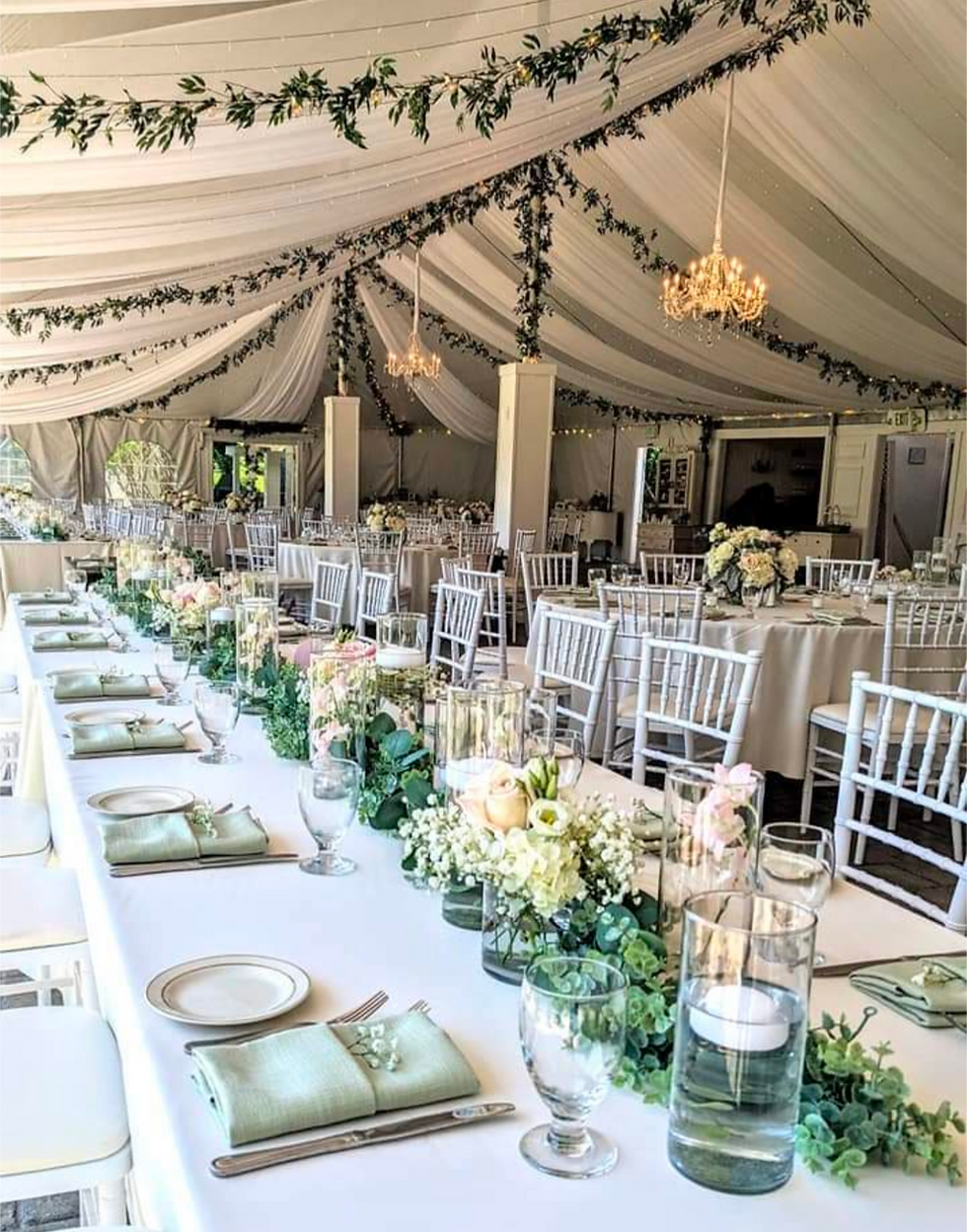 White Blush Elegance