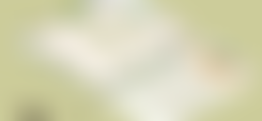 메타버스에서 "한국어" 를 배운다?