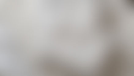 시몬스가 베개 라인업 늘리는 이유